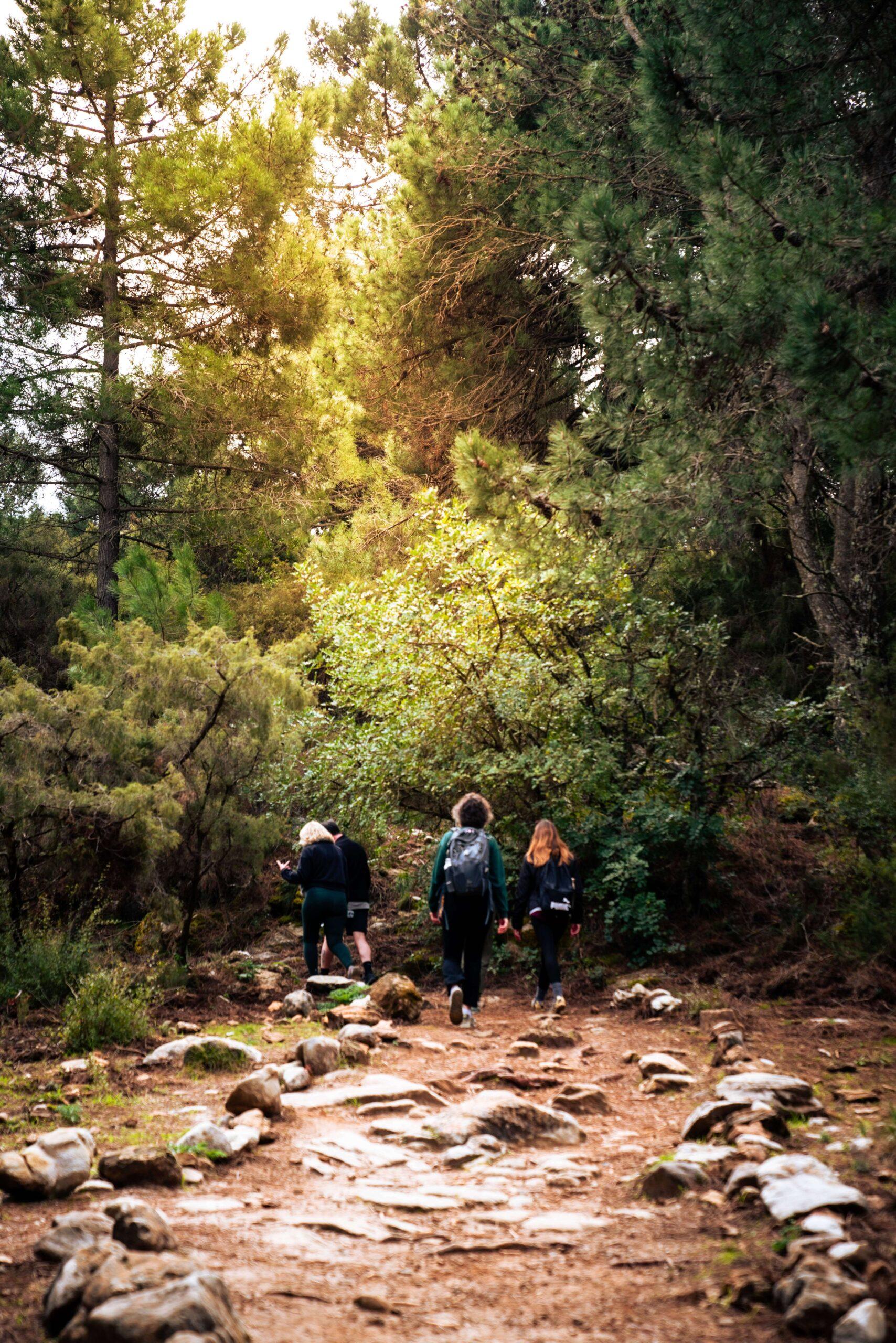 group hike in nature for stress relief